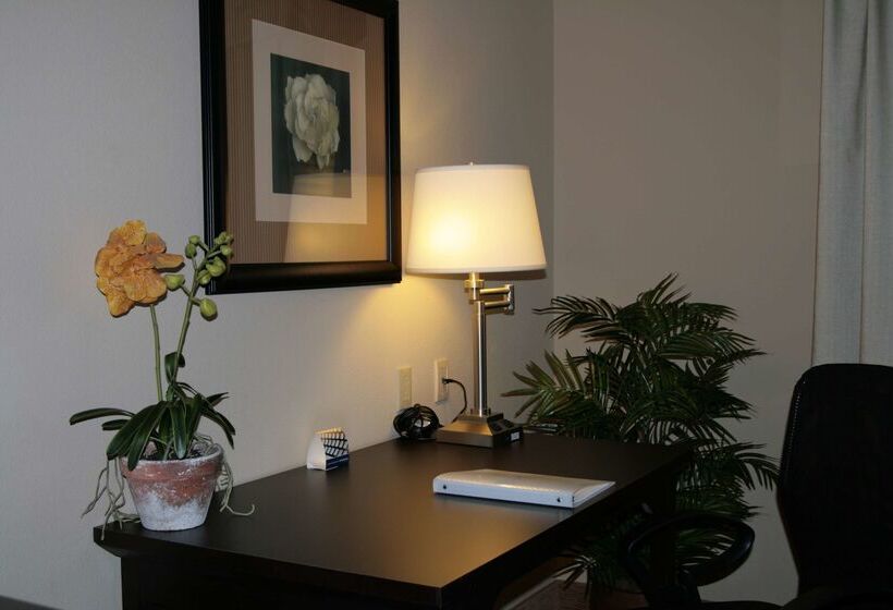 酒店 Hampton Inn & Suites Austin Cedar Parklakeline