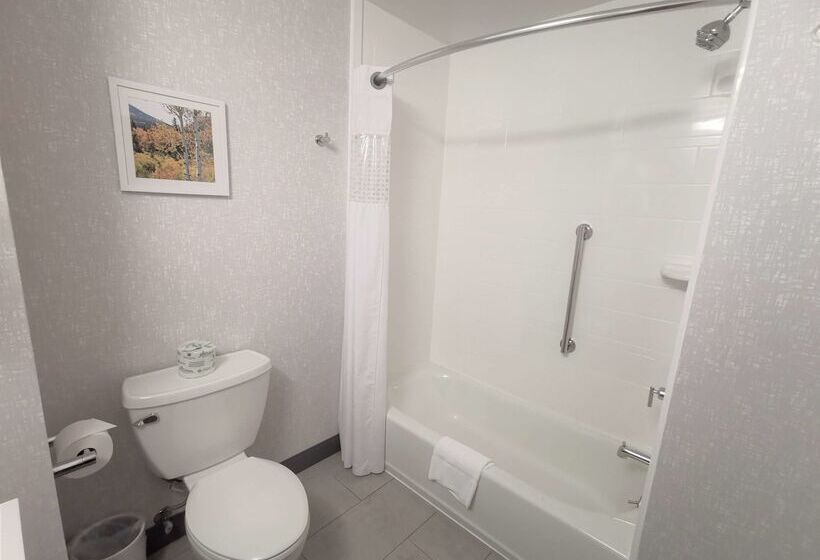 هتل Hampton Inn & Suites Colorado Springs/air Force Academy
