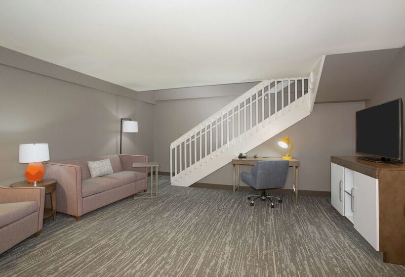ホテル Hampton Inn & Suites Denverdowntown