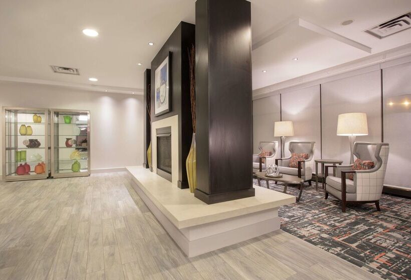 هتل Hampton Inn & Suites Denverdowntown
