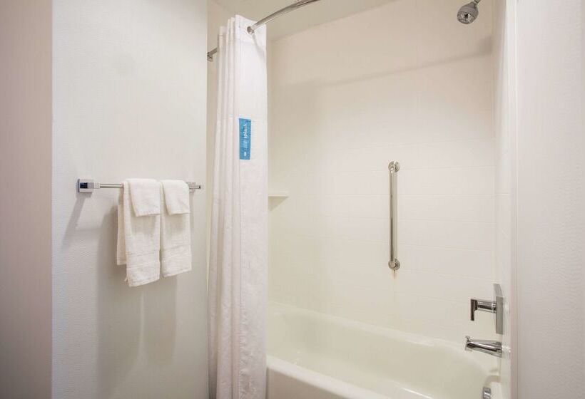 ホテル Hampton Inn & Suites Denverdowntown