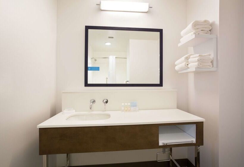 هتل Hampton Inn & Suites Denverdowntown