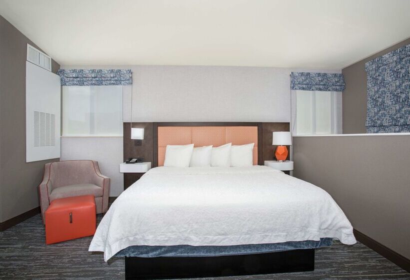 هتل Hampton Inn & Suites Denverdowntown