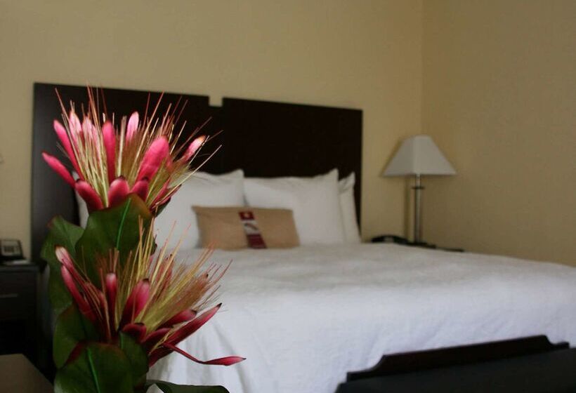 هتل Hampton Inn & Suites Orlandojohn Young Pkwy/s. Park