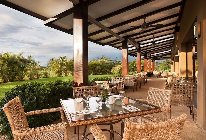 ホテル Hilton Garden Inn Guanacaste Airport