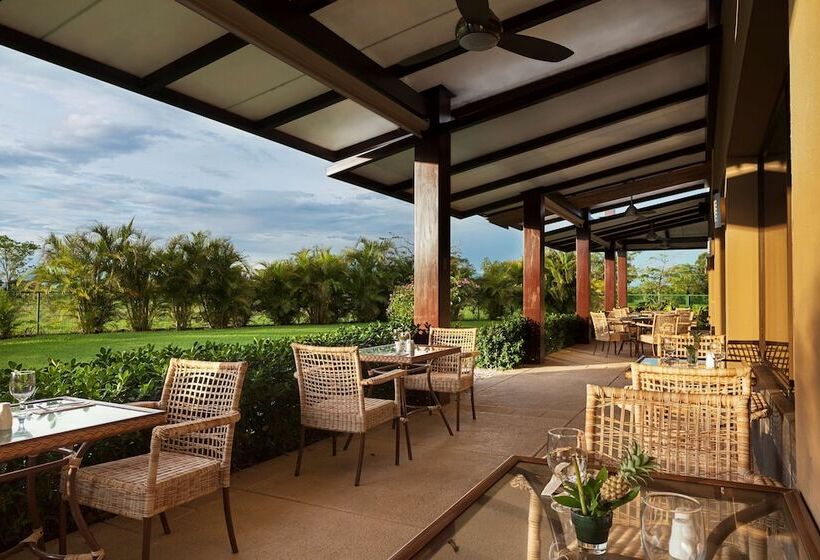 ホテル Hilton Garden Inn Guanacaste Airport