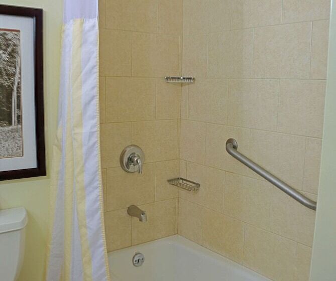 ホテル Hilton Garden Inn Guanacaste Airport