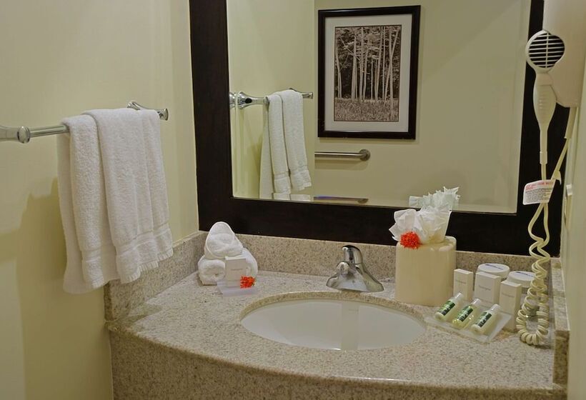 ホテル Hilton Garden Inn Guanacaste Airport