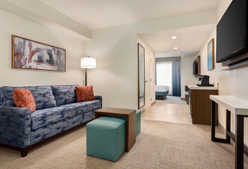 酒店 Hilton Garden Inn Houston Energy Corridor