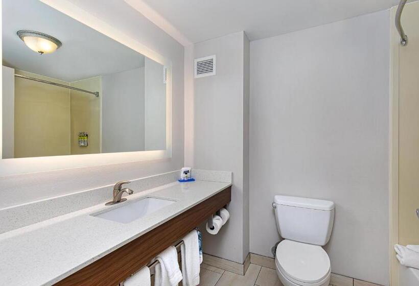 Holiday Inn Express Hotel & Suites Mount Juliet   Nashville Area, An Ihg