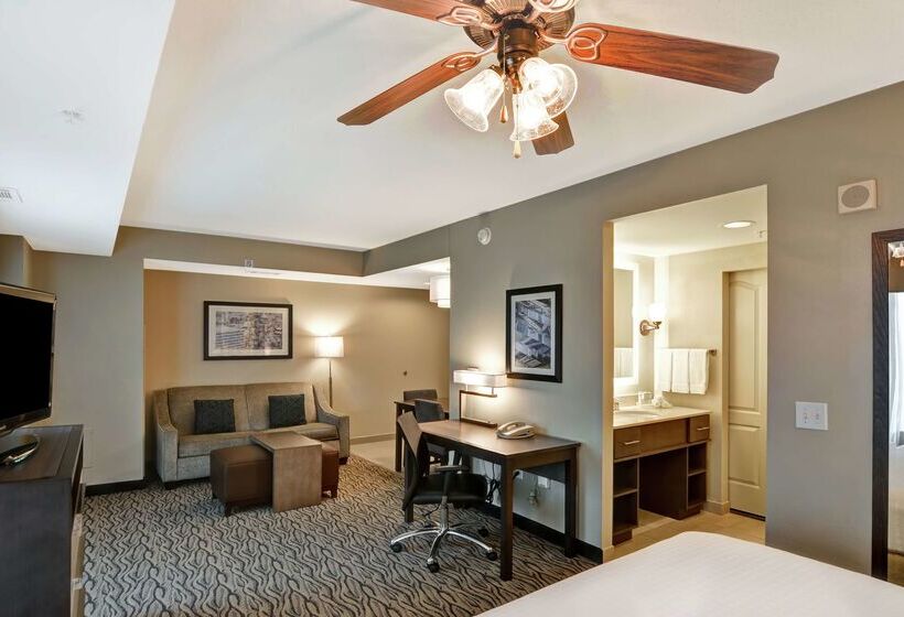 فندق Homewood Suites By Hilton Houston Near The Galleria