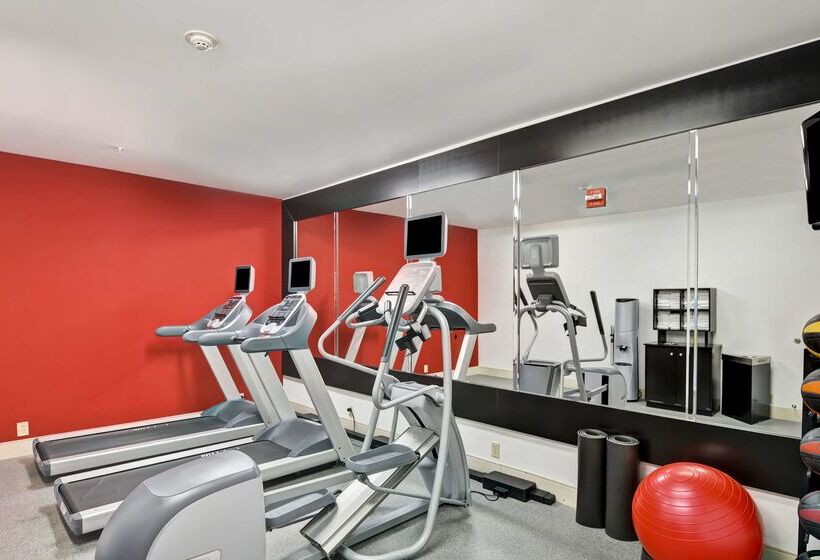 فندق Homewood Suites Houston West Energy Corridor