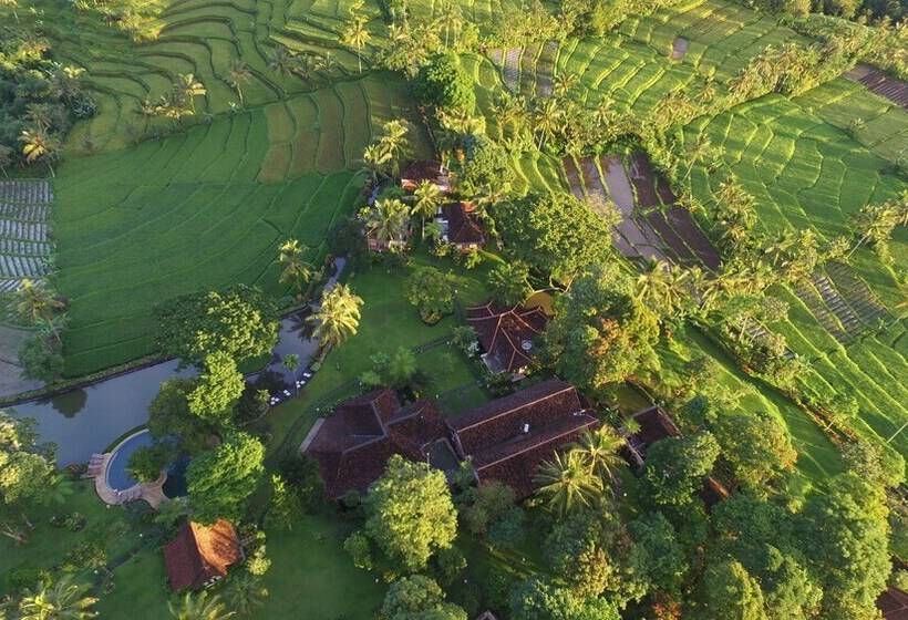 هتل Ijen Resort And Villas   The Hidden Paradise