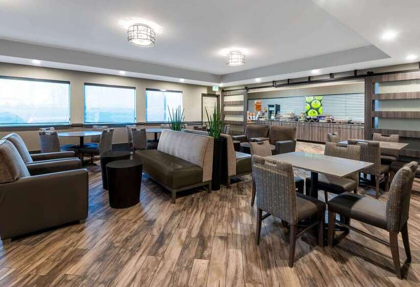 בית מלון כפרי La Quinta By Wyndham Fairbanks Airport