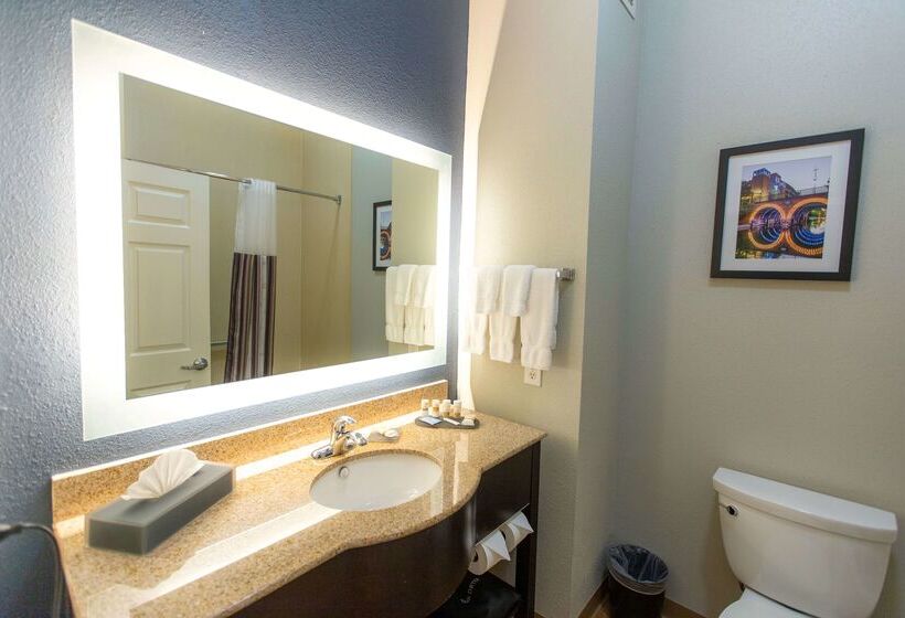 בית מלון כפרי La Quinta By Wyndham Houston East At Normandy