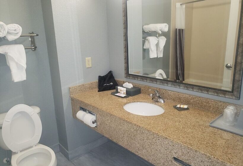 ホテル La Quinta By Wyndham Mobile   Tillman S Corner