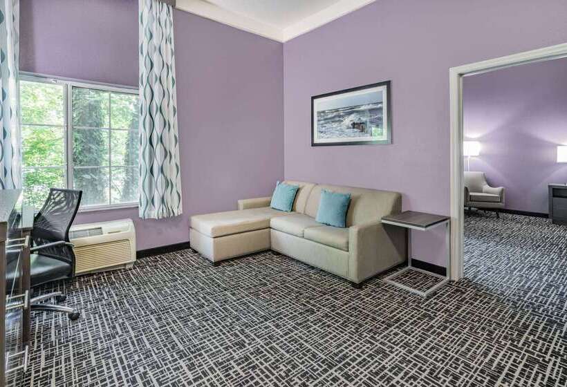 酒店 La Quinta Inn & Suites By Wyndham Norfolk