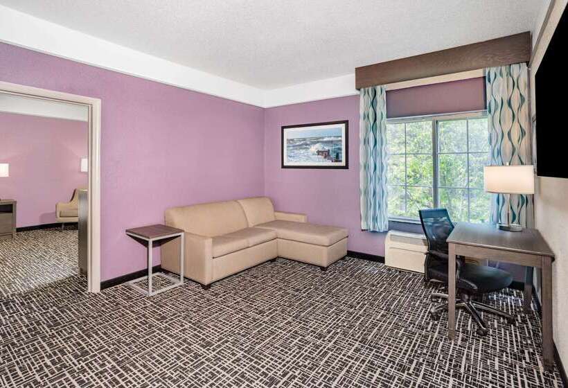 酒店 La Quinta Inn & Suites By Wyndham Norfolk