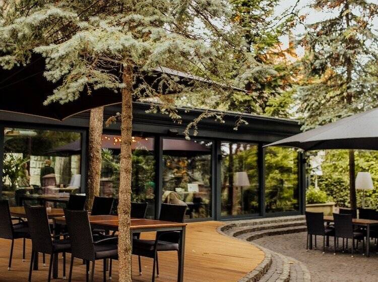 هتل Lion S Castle