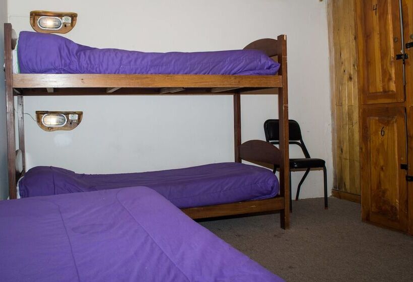 فندق Marcopolo Inn Hostel Bariloche