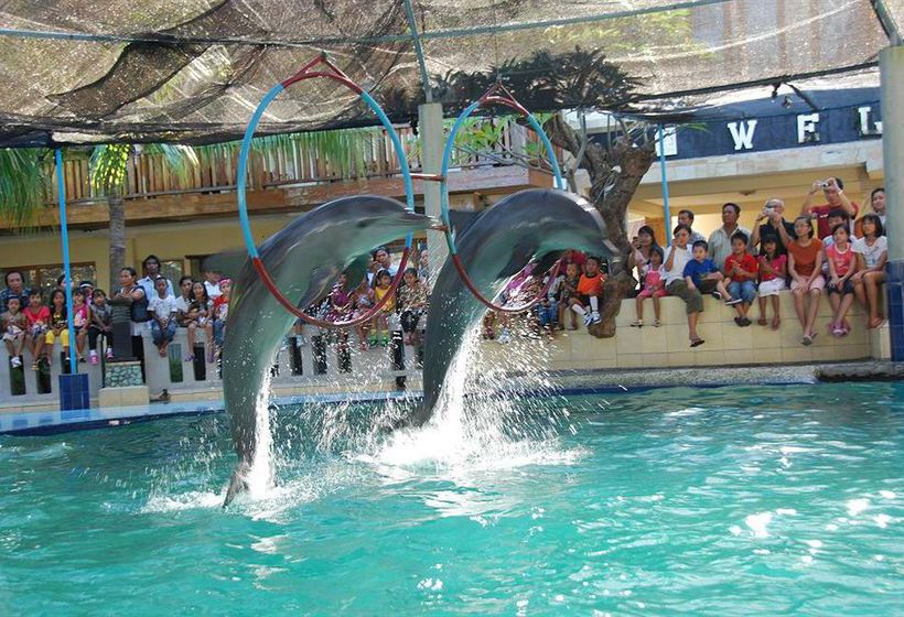 בית מלון כפרי Dolphin  Bali