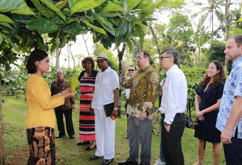 호텔 Mesastila Resort And Spa