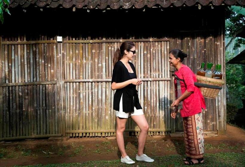 호텔 Mesastila Resort And Spa