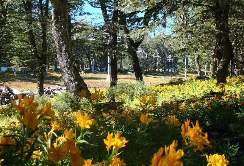 Отель Miradores Del Lanin