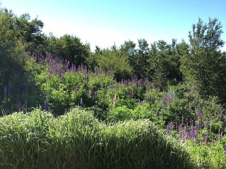 Отель Miradores Del Lanin