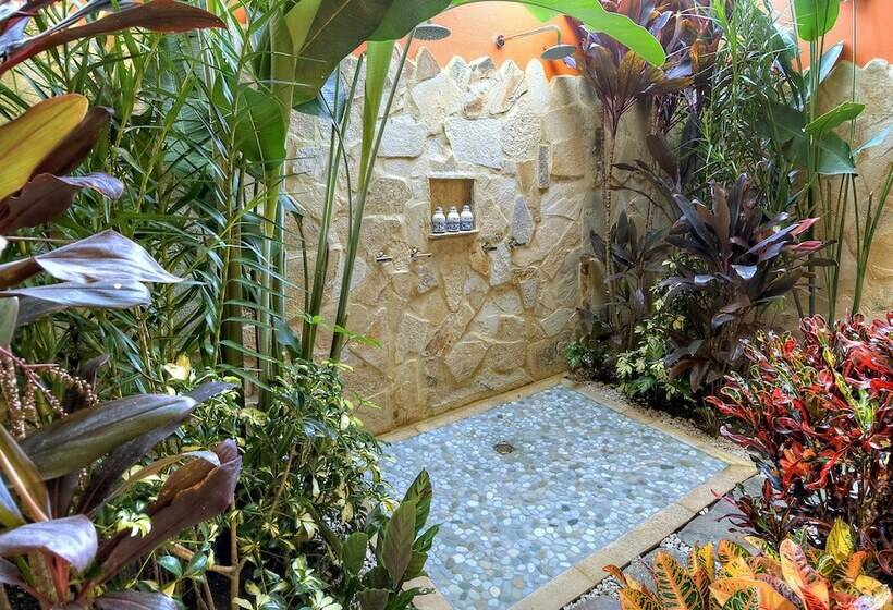 فندق Nayara Gardens