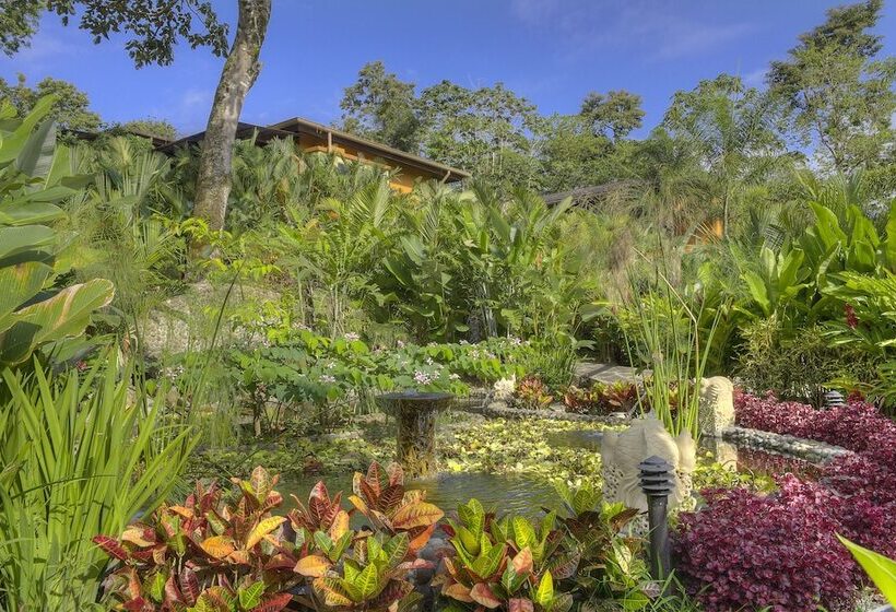 فندق Nayara Gardens