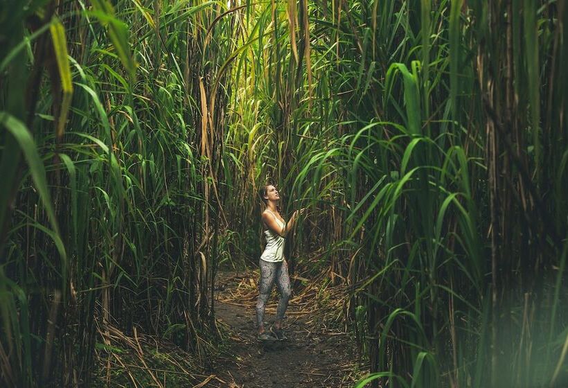 فندق Nayara Gardens