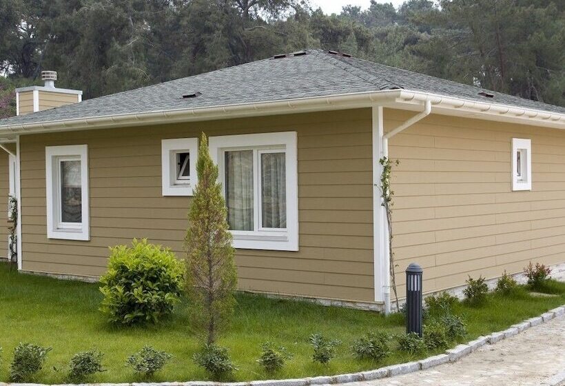 Padok Premium Hotel And Stables