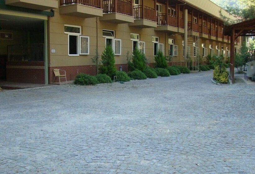 Padok Premium Hotel And Stables