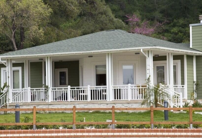 Padok Premium Hotel And Stables