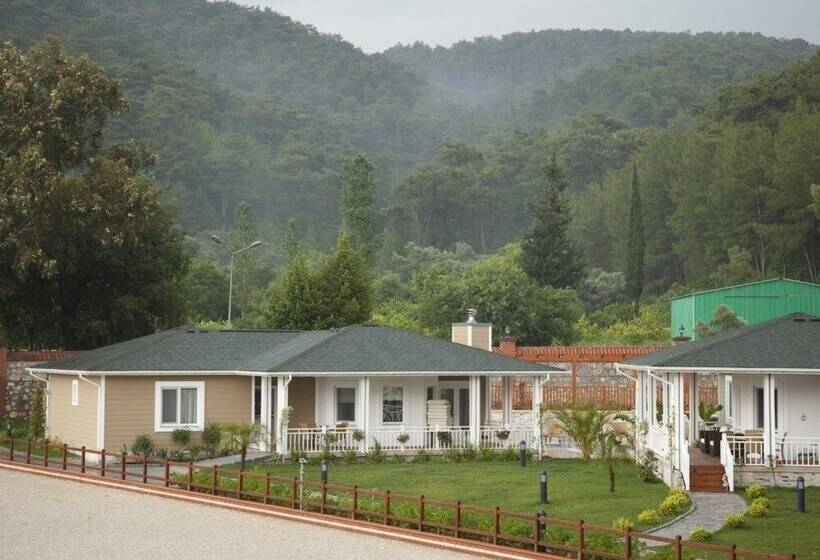 Padok Premium Hotel And Stables