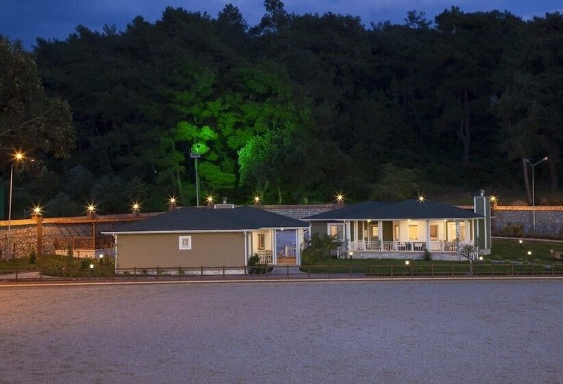 Padok Premium Hotel And Stables