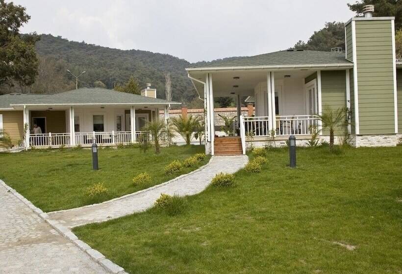 Padok Premium Hotel And Stables