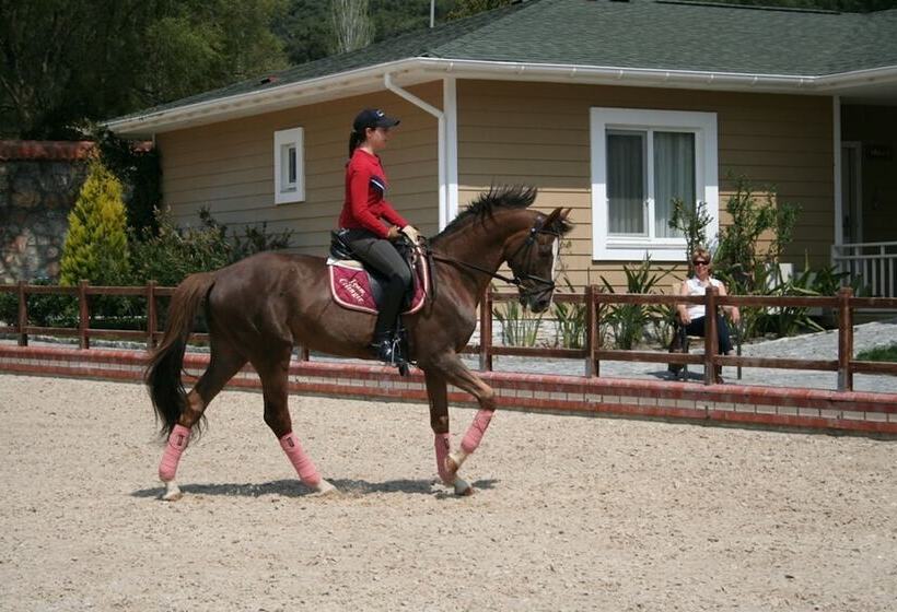 Padok Premium Hotel And Stables