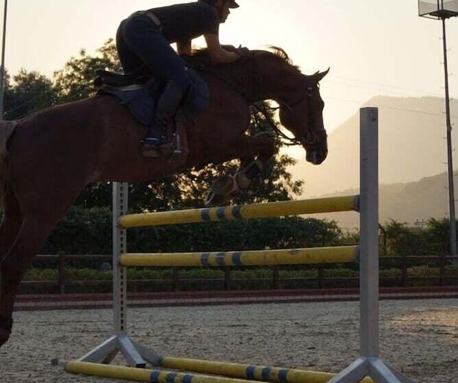 Padok Premium Hotel And Stables