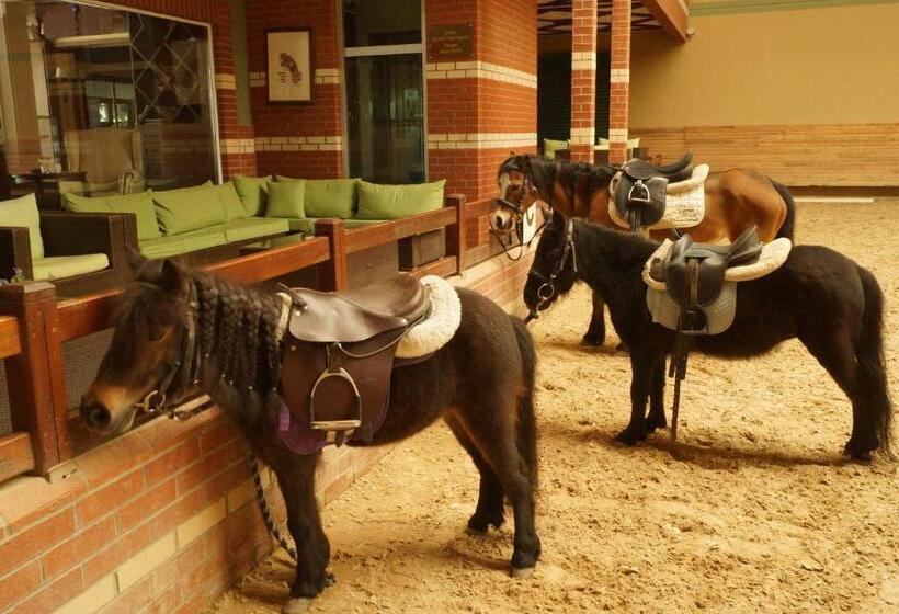 Padok Premium Hotel And Stables