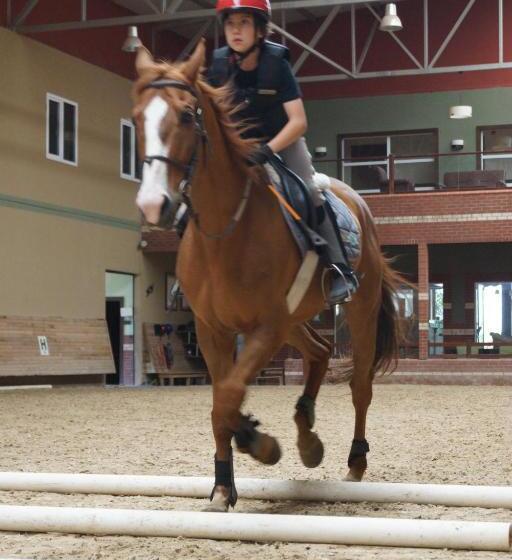 Padok Premium Hotel And Stables