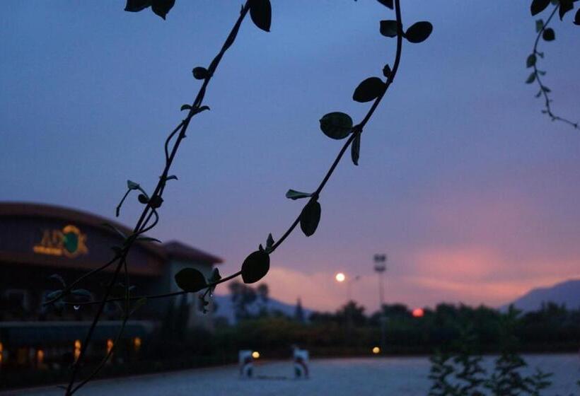 Padok Premium Hotel And Stables