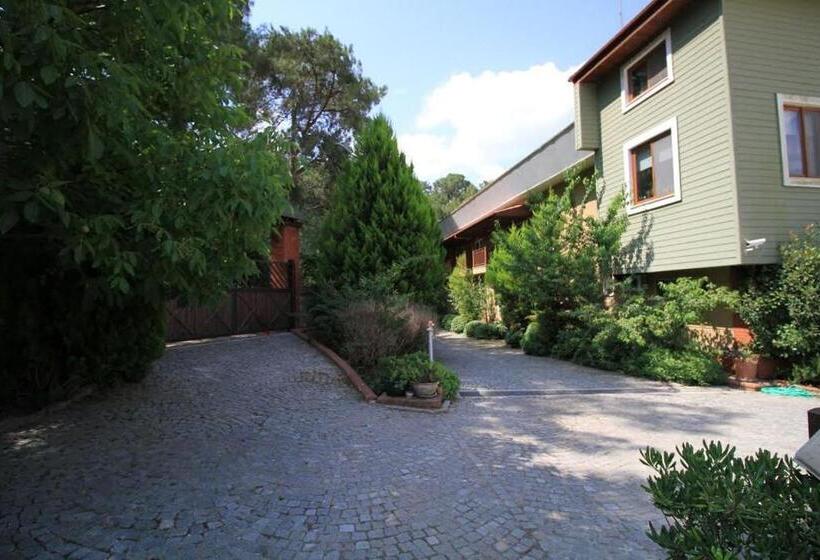 Padok Premium Hotel And Stables