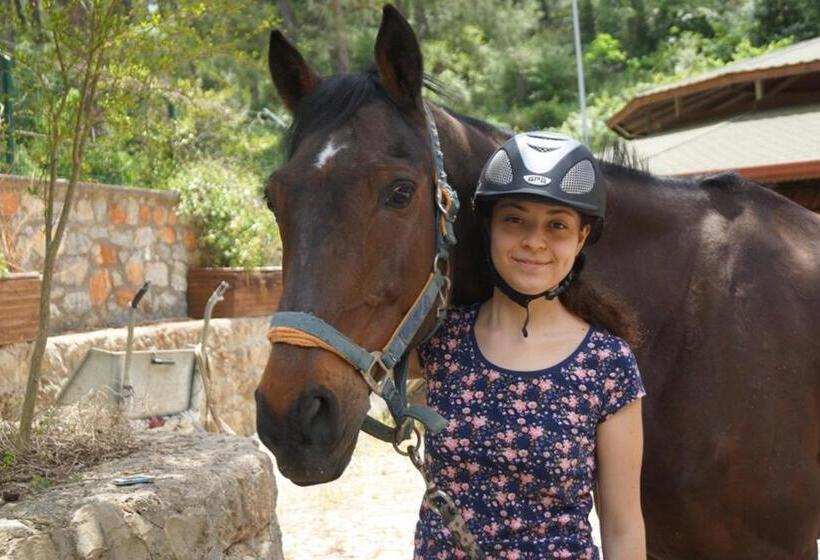 Padok Premium Hotel And Stables