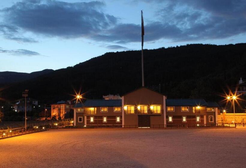 Padok Premium Hotel And Stables