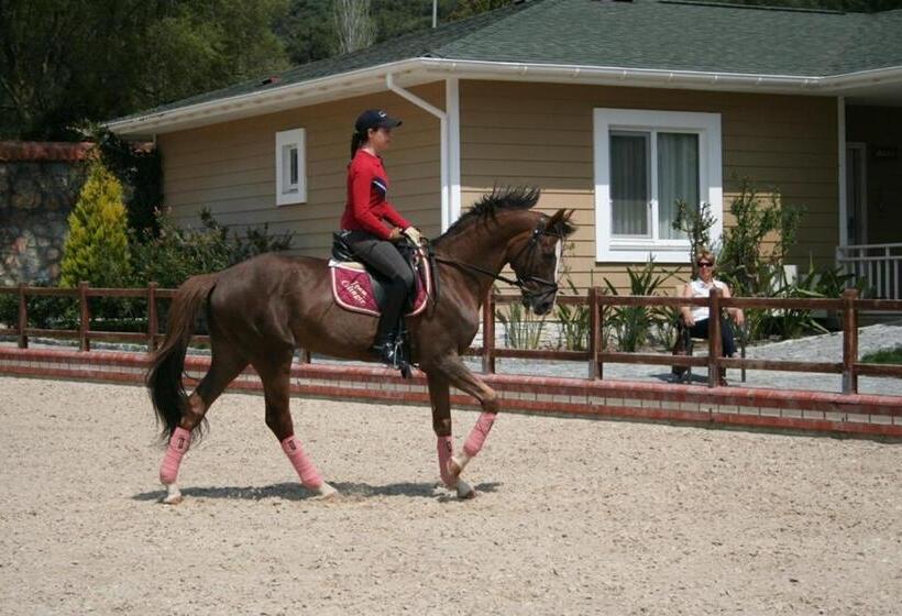 Padok Premium Hotel And Stables