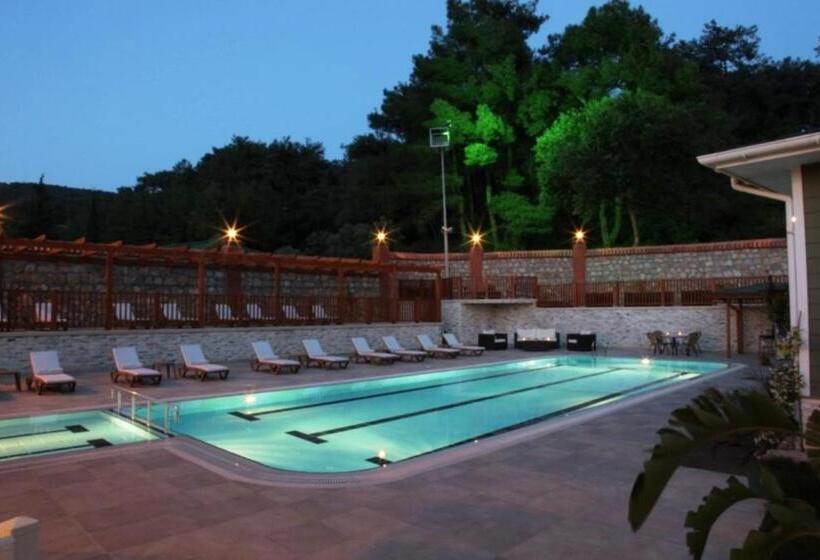 Padok Premium Hotel And Stables