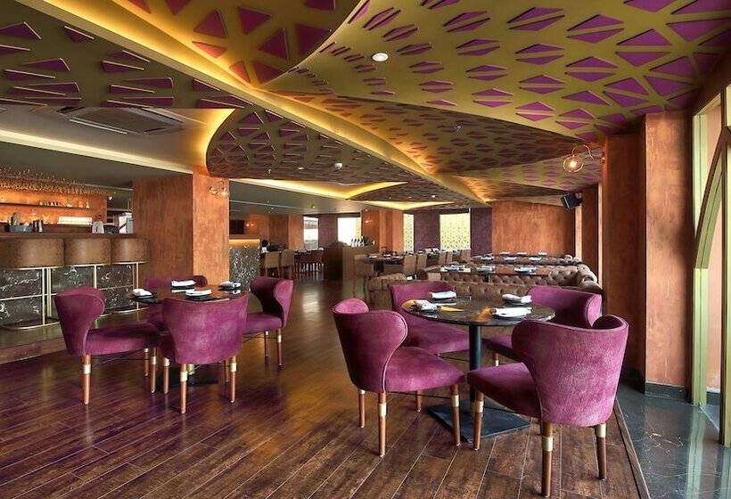 ホテル Radisson Jaipur City Center