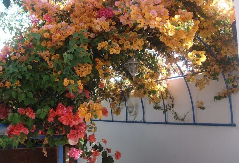 هتل Riad Marlinea